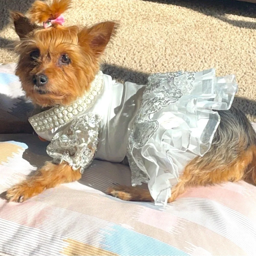 Buffy Pet home dress white tulle Gray silver accent formal dress up wear New M